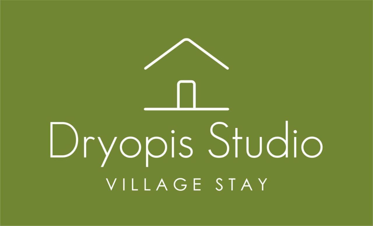 Dryopis Studio Dhriopis Luaran gambar